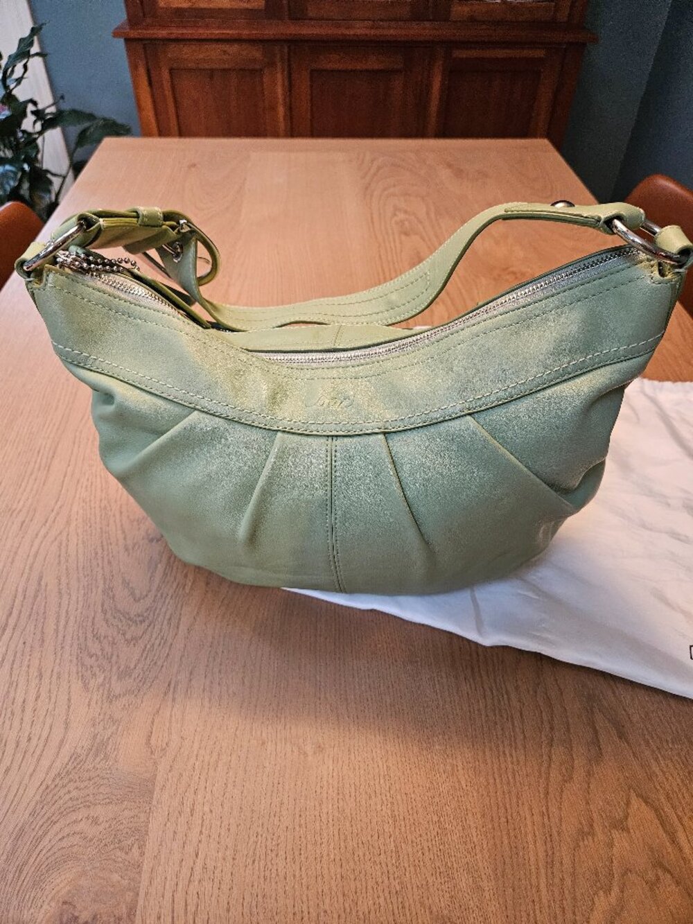 Coach Sage Green Leather Pleated Hobo Shoulder Bag Silver Hardware OS